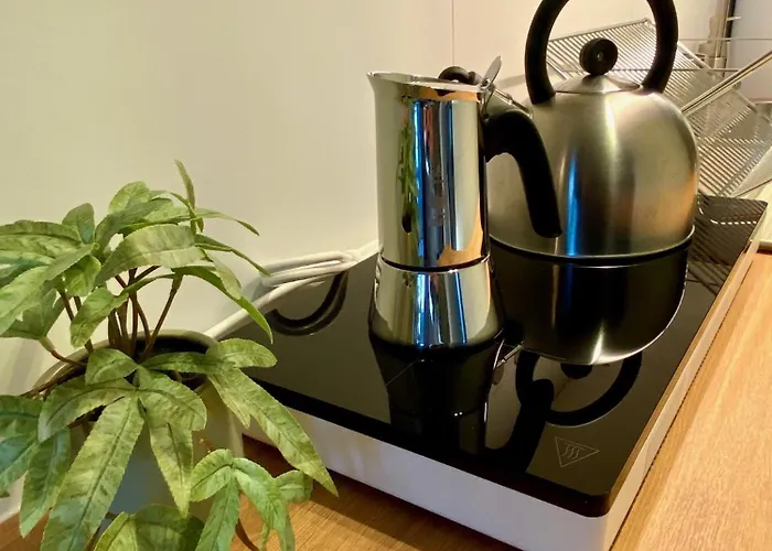 Ablakaludra Aszofoi * Aszofo