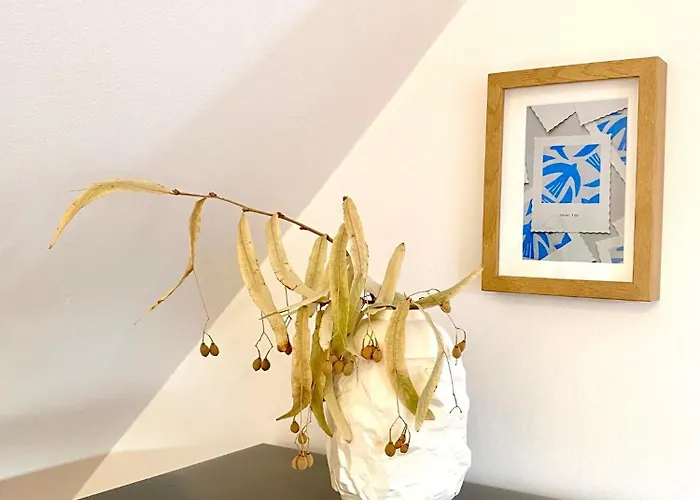 Ablakaludra Aszofoi *