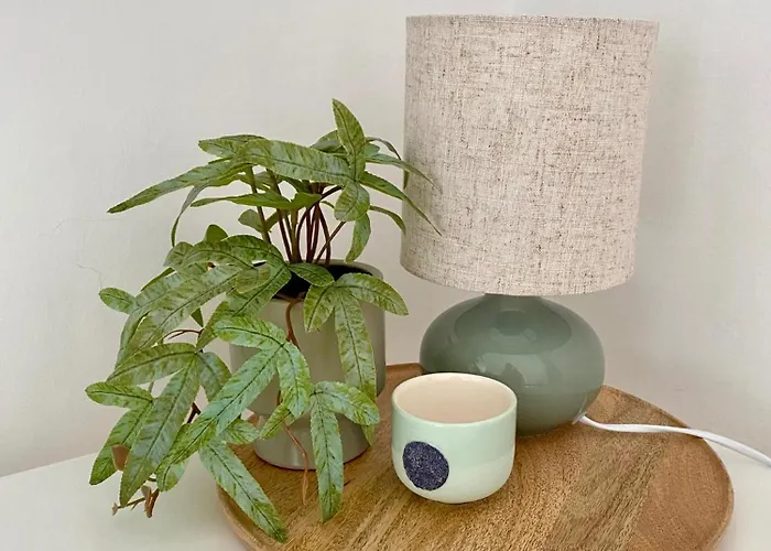 Ablakaludra Aszofoi * Aszofo