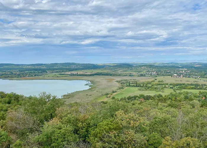 Ablakaludra Aszofoi * Aszofo