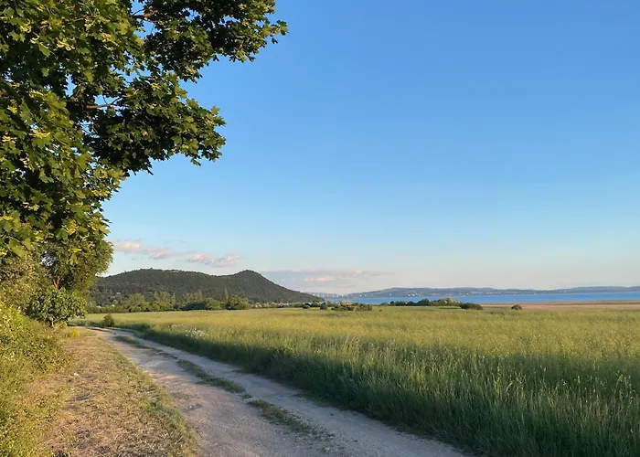 Ablakaludra Aszofoi *