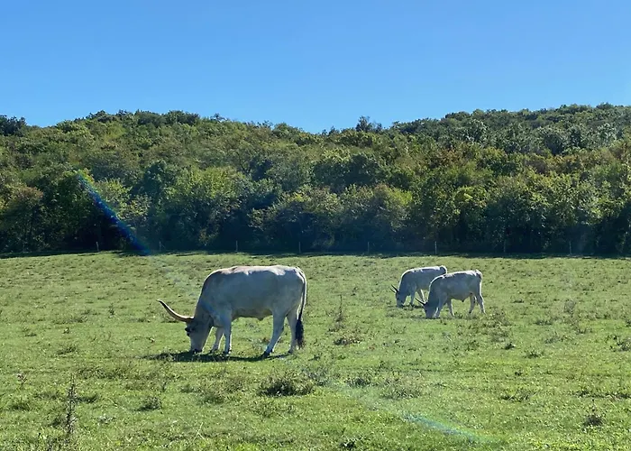 Ablakaludra Aszofoi Apartment *