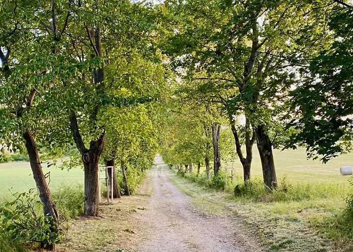 Apartment Ablakaludra Aszofoi *